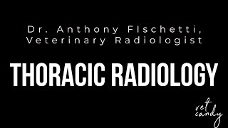 Unlock NAVLE Success with Dr Anthony Fischettis Expert Tips on Thoracic Radiology—Dont Miss Out [upl. by Ahsinac]