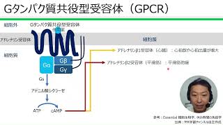 Gタンパク質共役型受容体（GPCR） [upl. by Attenoj764]