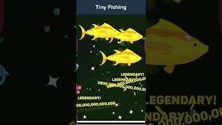 Former tiny fishing world record [upl. by Nyad]