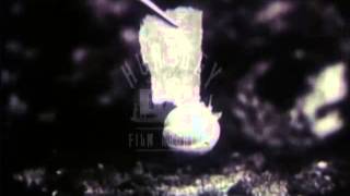 Seed Dispersal by Animals 1940s  Film 7804 [upl. by Ynohtnaleahcim]