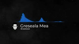 Greseala Mea Breakbeat [upl. by Artemed]