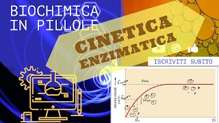 Cinetica enzimatica di Micaelis e Menten [upl. by Enirehtak]