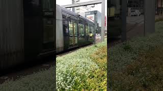 願い 復興 平和 戦争するな train のんびり 鉄道 鉄道のある風景 music travel [upl. by Yrot]