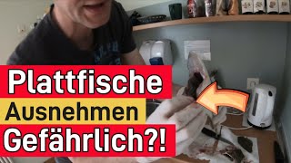 Plattfische Ausnehmen der Profi Trick Flunder Scholle und Co  BFampM [upl. by Emilia807]