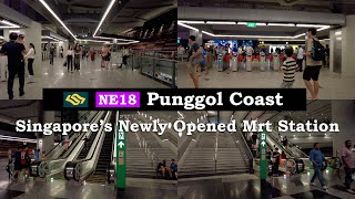 Just in Punggol Coast Mrt  Singapores Newest Mrt Station Opened  Public Transport  World Class [upl. by Dianne773]