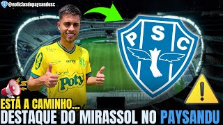 🔵⚪Paysandu Surpreende e Anuncia Mais uma Contratação  NOTÍCIAS DO PAYSANDU SC [upl. by Satsoc]