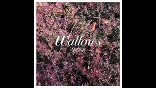 Wallows  These Days Instrumental Remake [upl. by Charlet]