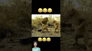 badi badi 😀😁😂 funny funnysong shortvideo youtubeshorts comedy [upl. by Nylzaj717]