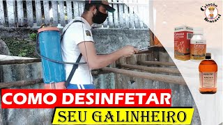 Fazendo a desinfecção do galinheiro para combater piolhos bactérias e o cascudinho [upl. by Lorianna]