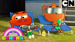 Travesuras Domésticas  El Increíble Mundo de Gumball en Español Latino  Cartoon Network [upl. by Amoreta]