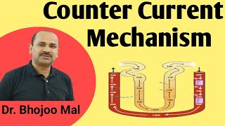 Counter current mechanism in Kidney physiology  Counter Current Mechanism   by Dr Bhojoo Mal [upl. by Atsira]