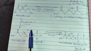 Biosynthesis of citral Acyclic mono terpenoid citral chemistry with instructors [upl. by Anaugal]