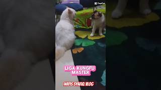 Siapa ya kirakira pemenang liga kungfu master Uno VS Mochi [upl. by Edac244]