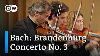 Bach Brandenburg Concerto No 3  Claudio Abbado amp the Orchestra Mozart [upl. by Osy]