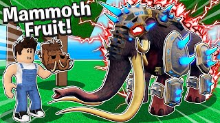 UPDATE 20 MAMMOTH FRUIT WAS LEAKED Update Coming SOON Roblox Blox Fruits [upl. by Yerahcaz]