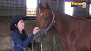 Kay Young talks about Equiwinner for tyingup [upl. by Eardna]