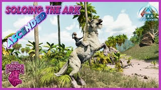 Taming an Equus Soloing ARK Ascended Ep 96 [upl. by Krucik]