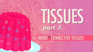 Tissues Part 3  Connective Tissues Crash Course Anatomy amp Physiology 4 [upl. by Netta]