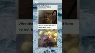 Fish in sea Meme  meme shorts ytshorts  524 [upl. by Taryn]