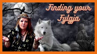 FIND YOUR FYLGJA  How to find out your Viking spirit animal Norse Witchcraft [upl. by Divad]