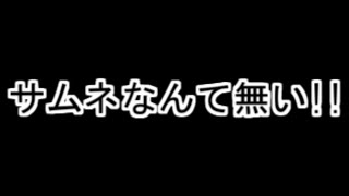 支援会話収集プレイ 12【ファイアーエムブレム 蒼炎の軌跡】 [upl. by Ainnat470]