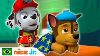 Patrulha Canina  Chase fica doente  Nick Jr em Português [upl. by Anis]