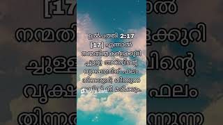 ഉൽപത്തി 217 Bible verse Malayalam  Part  45 1582thshorts BLUESEA [upl. by Notrom]