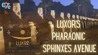 Luxor’s Sphinxes Avenue quotThe Rams Road quot  طريق الكباش  CYC [upl. by Lomaj]