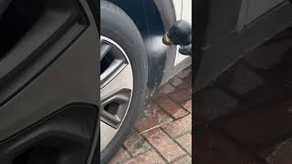 “Is This the ULTIMATE Wheel Arch cleaner🚗✨asmr satisfyingasmr CarDetailing cleaning” [upl. by Warga920]