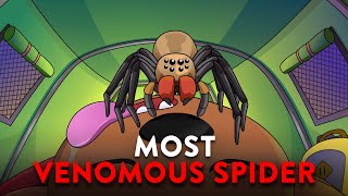 🕷 What If You Were Bitten By The Most Venomous Spider 🕷🕸 Funny Educational Cartoons ✨ [upl. by Stein]