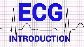 01 ECG  INTRODUCTION  CARDIOVASCULAR PHYSIOLOGY [upl. by Olatha]