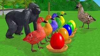 Learn Colors with Farm Animals for Children Ducks and SurpriseEggsBaby Goose Cartoon [upl. by Tfat]