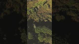 Cima di Tuoro Lago Trasimeno ambient cinematic dji drone fpv nature [upl. by Cooley]