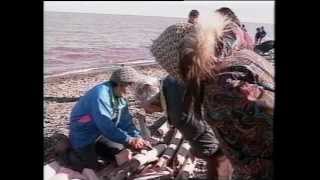 92 01 TAMAPTA Celebrating the Bowhead Harvest in Aklavik 1991 [upl. by Attikin]