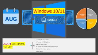 August 2023 Patch Tuesday Review  Windows 11 KB5029253 KB5029263  Windows 10 KB5029244 [upl. by Vieva]