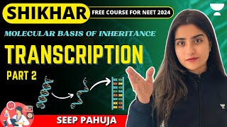 Transcription  Part 2  Molecular Basis of Inheritance  Seep Pahuja  NEET 2024 [upl. by Baldridge]