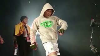 五味孝典 Takanori Gomi entrance RIZIN MMA 2017 [upl. by Yboc]