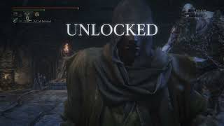 Bloodborne  Chalice Dungeons  Easy Ritual Blood 4 Farm [upl. by Takken359]