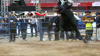 JARIPEO EN LA MONUMENTAL DE MORELIA MICHOACÁN 11 DE DICIEMBRE DEL 2022 CANDEVENTO 2022 [upl. by Alegnad234]