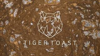 Push Up Tiger Toast Remix  Freestylers [upl. by Yovonnda571]