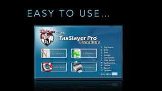 TaxSlayer Demo Video 2015 [upl. by Novyart235]