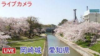 ライブカメラ 岡崎城 愛知県② Live camera Okazaki Castle Aichi Prefecture [upl. by Onej]