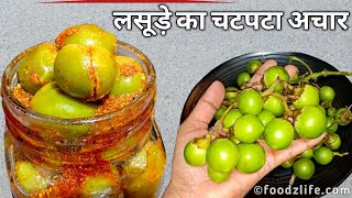 लसूड़े का चटपटा अचार जो सालों खराब न हो  Lasode ka Achar  Gunde Pickle [upl. by Mccall]