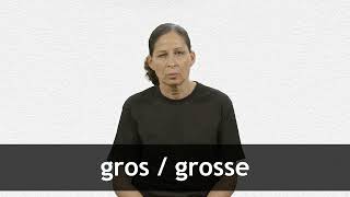 How to pronounce GROS  GROSSE in French [upl. by Greenman]