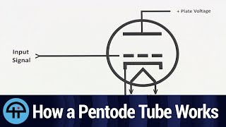 How a Pentode Tube Works [upl. by Yrbua]