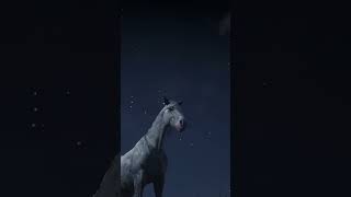 RDR2 • Few Spot Appaloosa Horse • Red Dead Redemption 2 [upl. by Enelhtak]