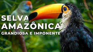 A GRANDIOSA AMAZÔNIA  Uma Jornada Extraordinária  Documentário Completo [upl. by Coopersmith649]