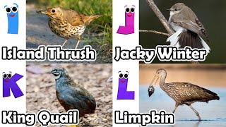 Birds Alphabet Song for Kids  Birds ABC Song  Phonics for Kids  Baby  Alphabet Letters [upl. by Valene]