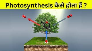 प्रकाश संश्लेषण कैसे होता हैं  Photosynthesis Animation [upl. by Yenreit969]