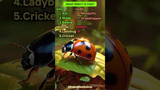 How Many Insects Can You Name Test Yourself englishlearning english [upl. by Juliana368]